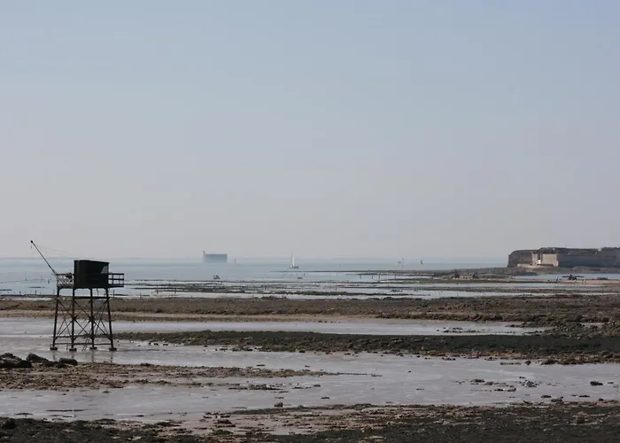 Au Paradis Des Hotes Pensión Fouras